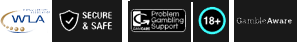 Sponsor